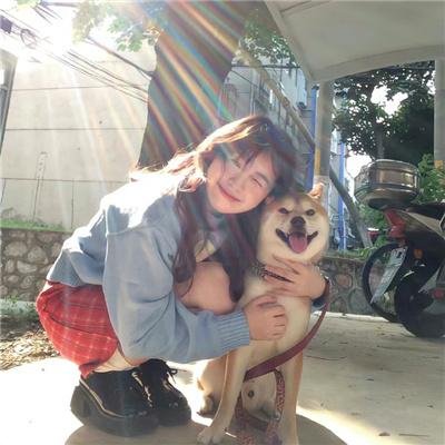 犬神家族2018